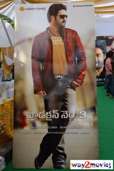 Jr.NTR Production No 3 New Movie Launch  — photo 35