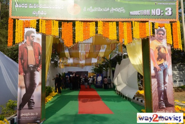 Jr.NTR Production No 3 New Movie Launch  — photo 43
