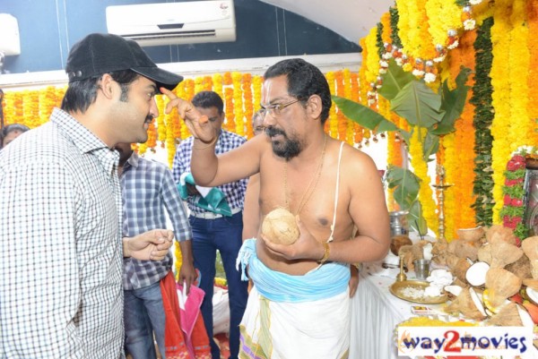 Jr.NTR Production No 3 New Movie Launch  — photo 62