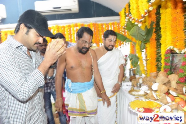 Jr.NTR Production No 3 New Movie Launch  — photo 5