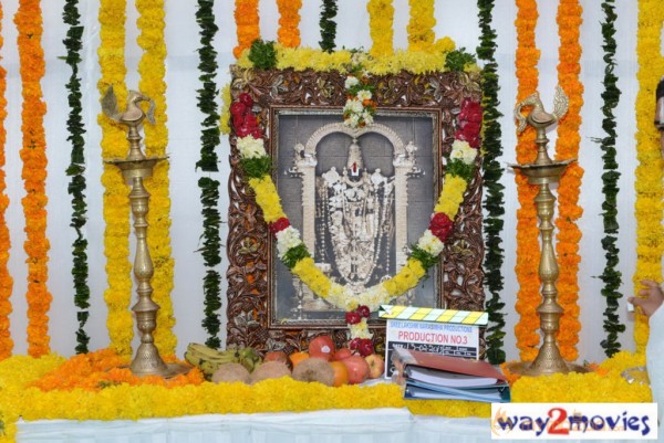 Jr.NTR Production No 3 New Movie Launch  — photo 4
