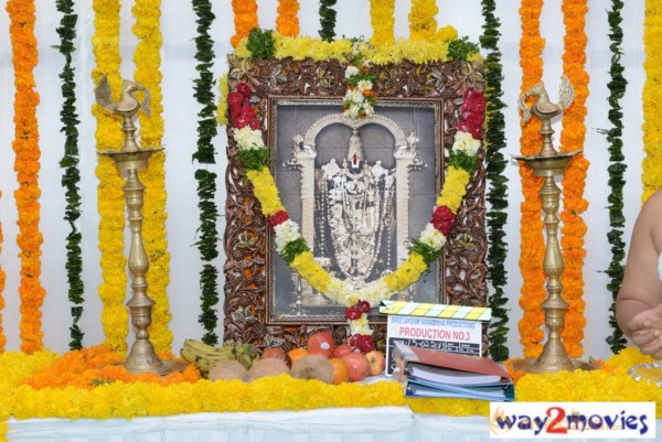 Jr.NTR Production No 3 New Movie Launch  — photo 58