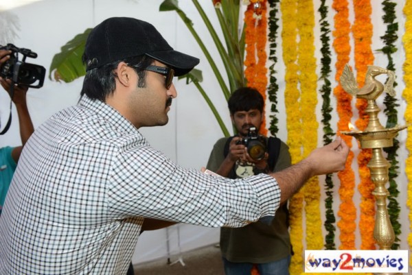 Jr.NTR Production No 3 New Movie Launch  — photo 100