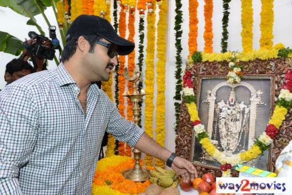 Jr.NTR Production No 3 New Movie Launch  — photo 12