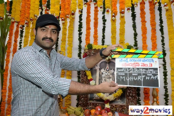 Jr.NTR Production No 3 New Movie Launch  — photo 15