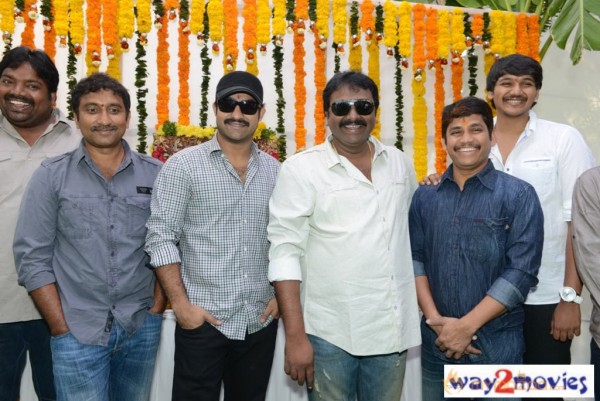 Jr.NTR Production No 3 New Movie Launch  — photo 91