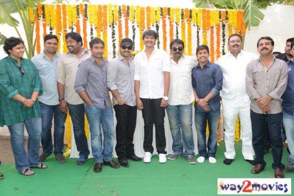 Jr.NTR Production No 3 New Movie Launch  — photo 32