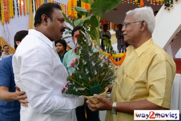 Jr.NTR Production No 3 New Movie Launch  — photo 49