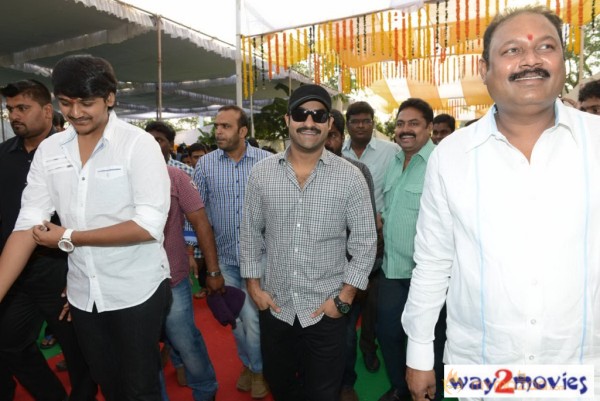 Jr.NTR Production No 3 New Movie Launch  — photo 30