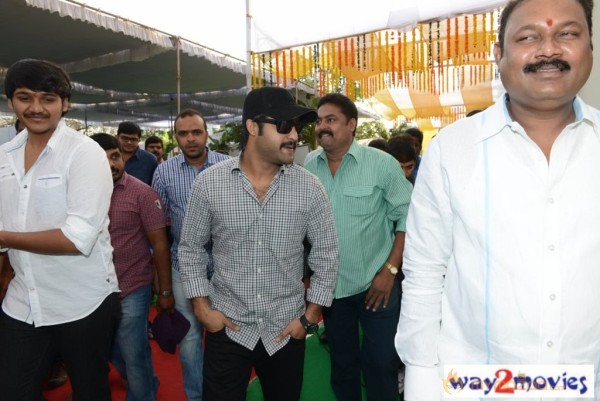 Jr.NTR Production No 3 New Movie Launch  — photo 98