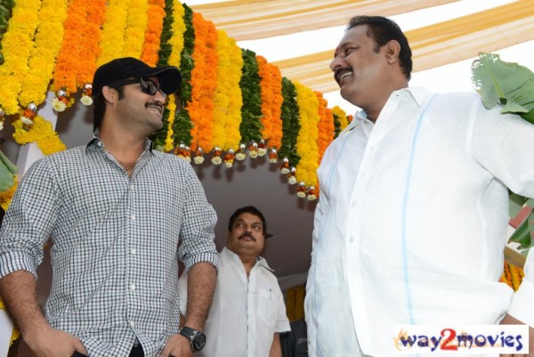 Jr.NTR Production No 3 New Movie Launch  — photo 84