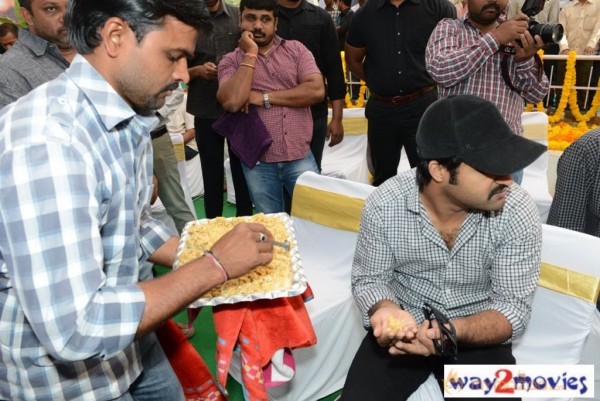 Jr.NTR Production No 3 New Movie Launch  — photo 95