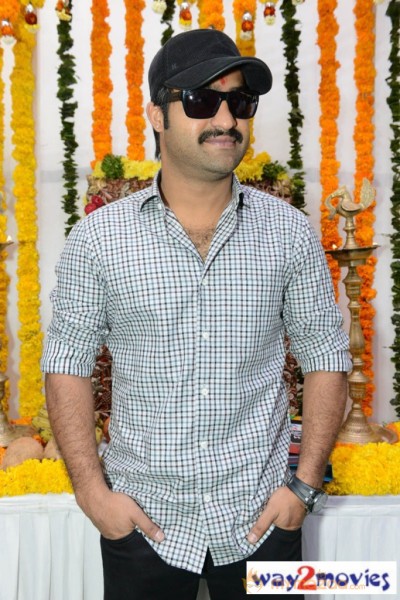 Jr.NTR Production No 3 New Movie Launch  — photo 33