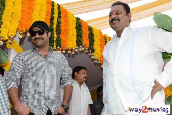 Jr.NTR Production No 3 New Movie Launch  — photo 79
