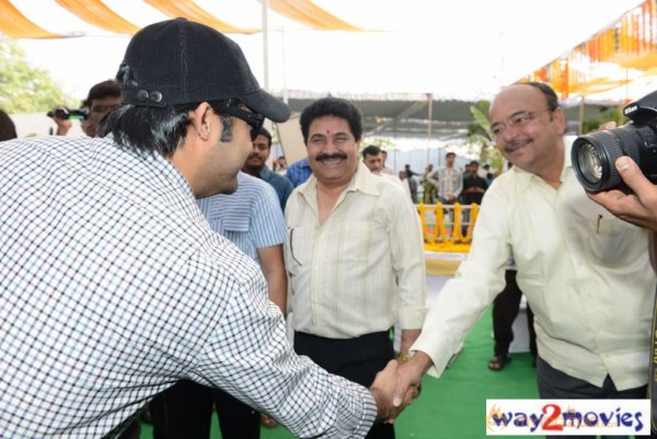Jr.NTR Production No 3 New Movie Launch  — photo 14