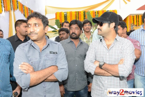 Jr.NTR Production No 3 New Movie Launch  — photo 21