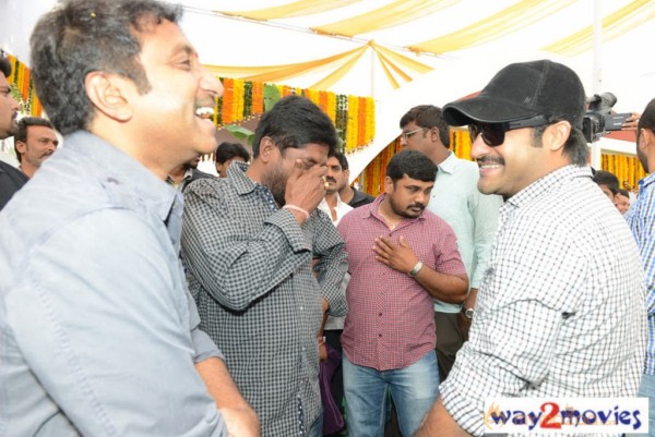 Jr.NTR Production No 3 New Movie Launch  — photo 72