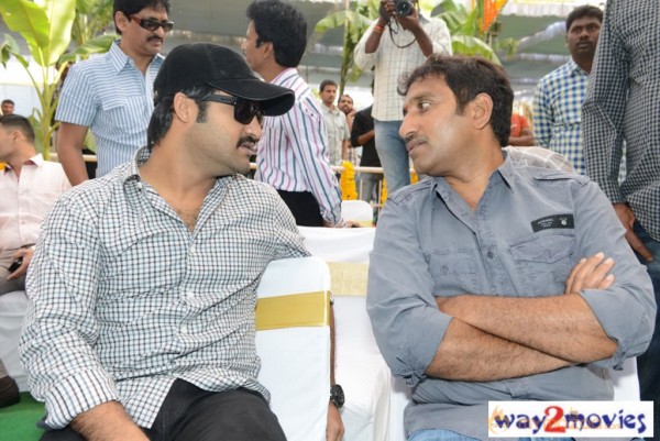 Jr.NTR Production No 3 New Movie Launch  — photo 6