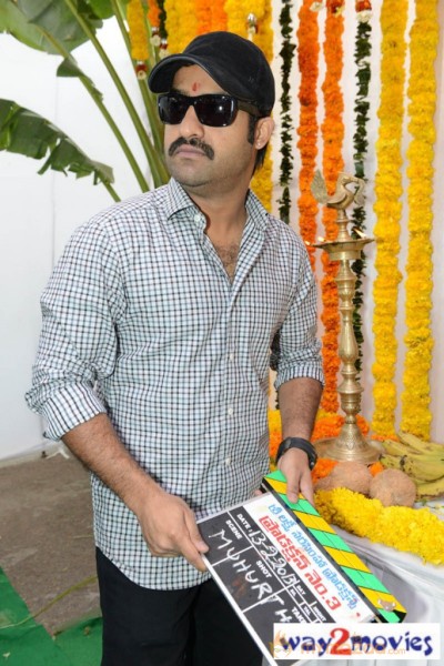 Jr.NTR Production No 3 New Movie Launch  — photo 66
