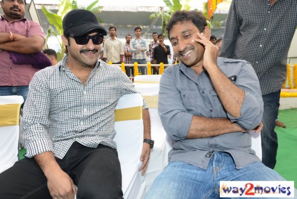 Jr.NTR Production No 3 New Movie Launch  — photo 31