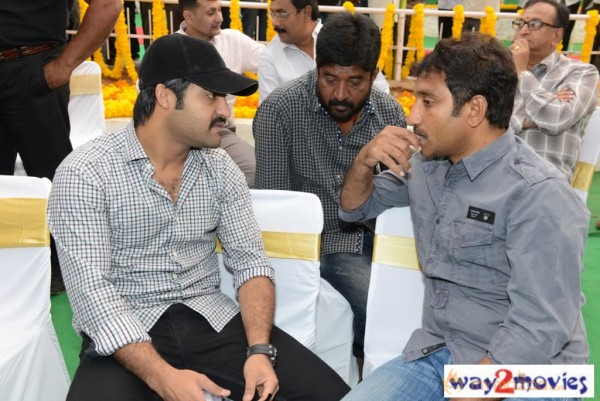 Jr.NTR Production No 3 New Movie Launch  — photo 83