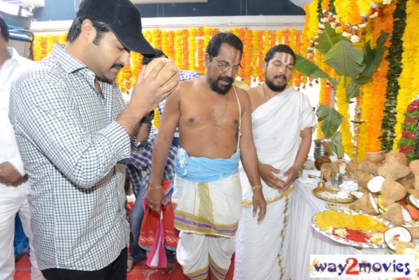 Jr.NTR Production No 3 New Movie Launch  — photo 11