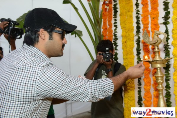 Jr.NTR Production No 3 New Movie Launch  — photo 89