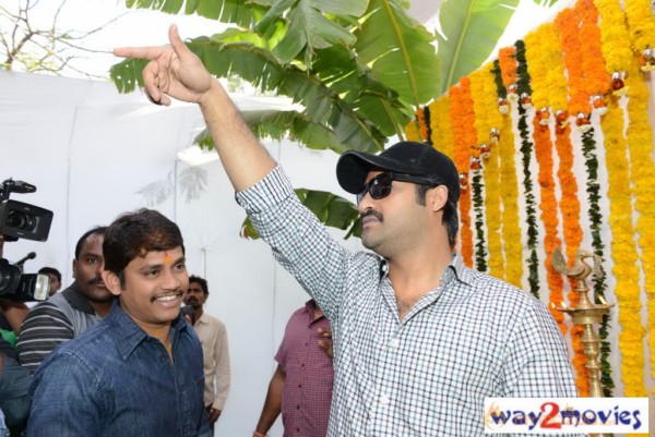 Jr.NTR Production No 3 New Movie Launch  — photo 13