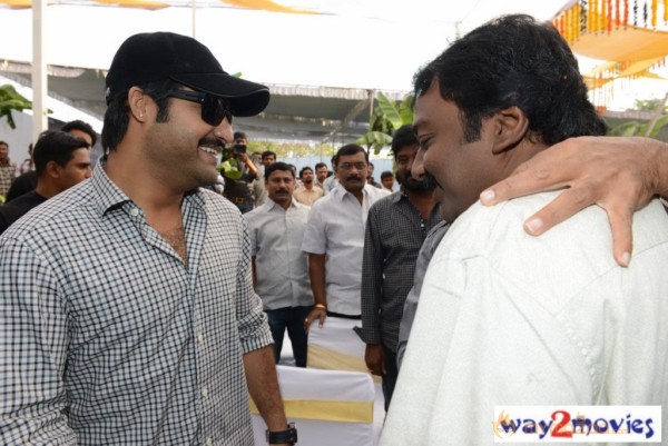 Jr.NTR Production No 3 New Movie Launch  — photo 42