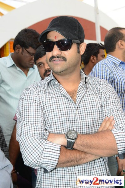 Jr.NTR Production No 3 New Movie Launch  — photo 73