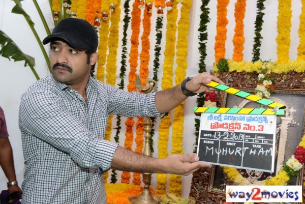 Jr.NTR Production No 3 New Movie Launch  — photo 48
