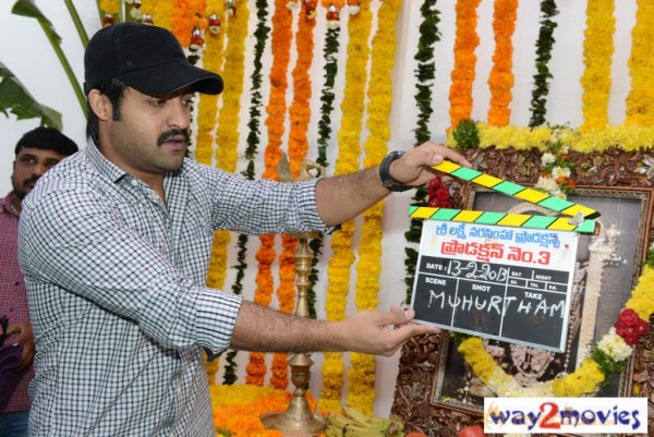 Jr.NTR Production No 3 New Movie Launch  — photo 54