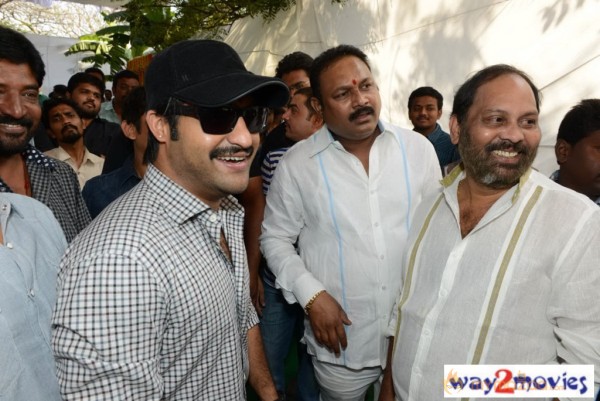 Jr.NTR Production No 3 New Movie Launch  — photo 10
