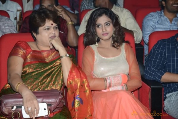 Mahesh Movie Audio Launch Photos