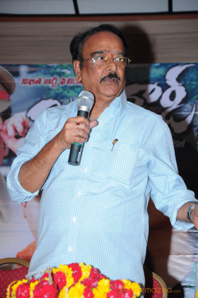 Mr Rowdy Movie Audio Launch Photos 