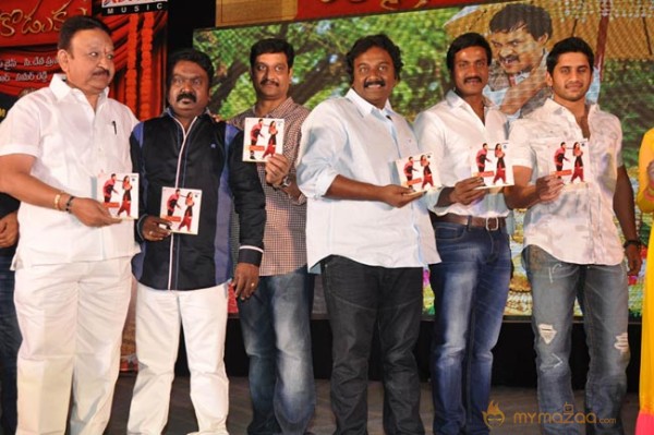 Mr.Pellikoduku Audio Launch Photos