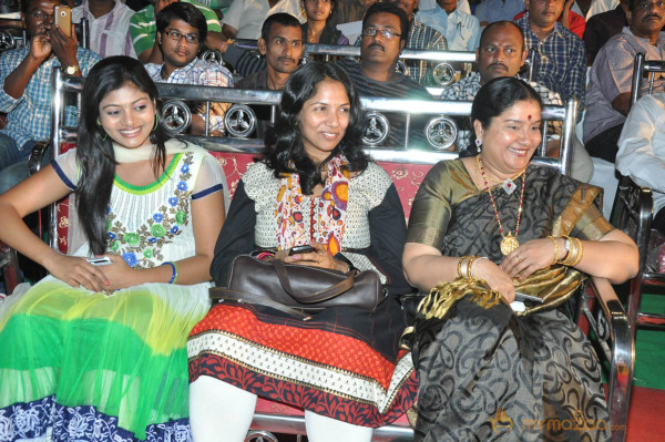Mr.Pellikoduku Movie Audio Launch Gallery  — photo 74