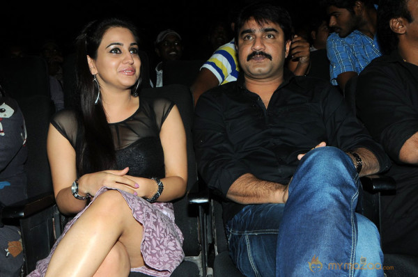 Satruvu Audio Launch Gallery