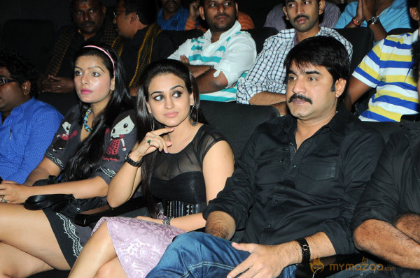 Satruvu Audio Launch Gallery