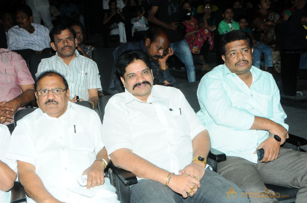 Satruvu Audio Launch Gallery