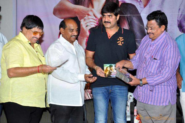  Seenugadi Love Story Audio Launch 