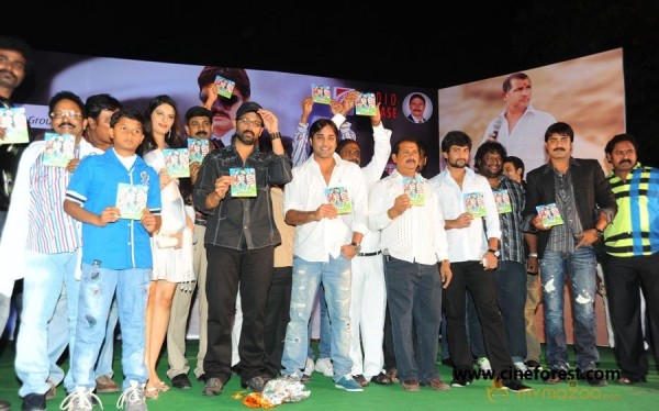 Sevakudu Audio Function