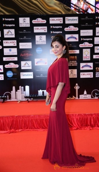 South India Celebrities at SIIMA 2016 Awards