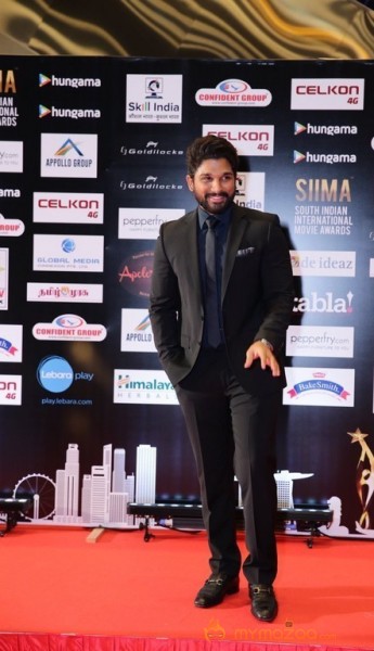 South India Celebrities at SIIMA 2016 Awards