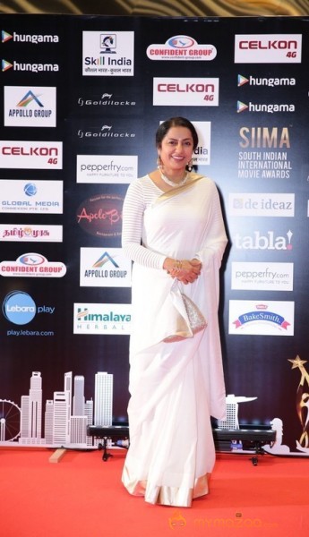 South India Celebrities at SIIMA 2016 Awards