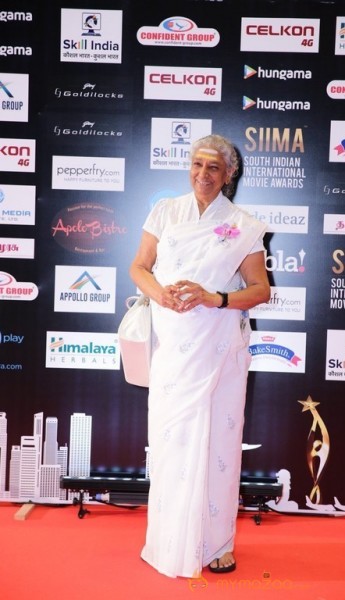 South India Celebrities at SIIMA 2016 Awards