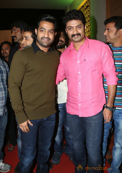  Temper Movie Audio Launch  — photo 8