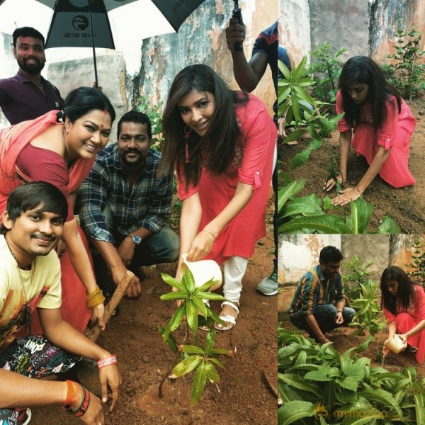 Tollywood Stars great initiative for Haritha Haram in Hyderabad