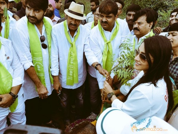 Tollywood Stars great initiative for Haritha Haram in Hyderabad