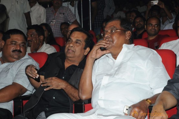 Yevadu Audio Launch Photos Set 5